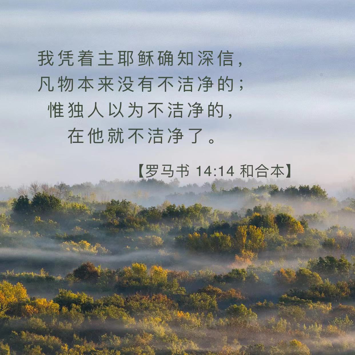 6月25日7月1日陪你读圣经