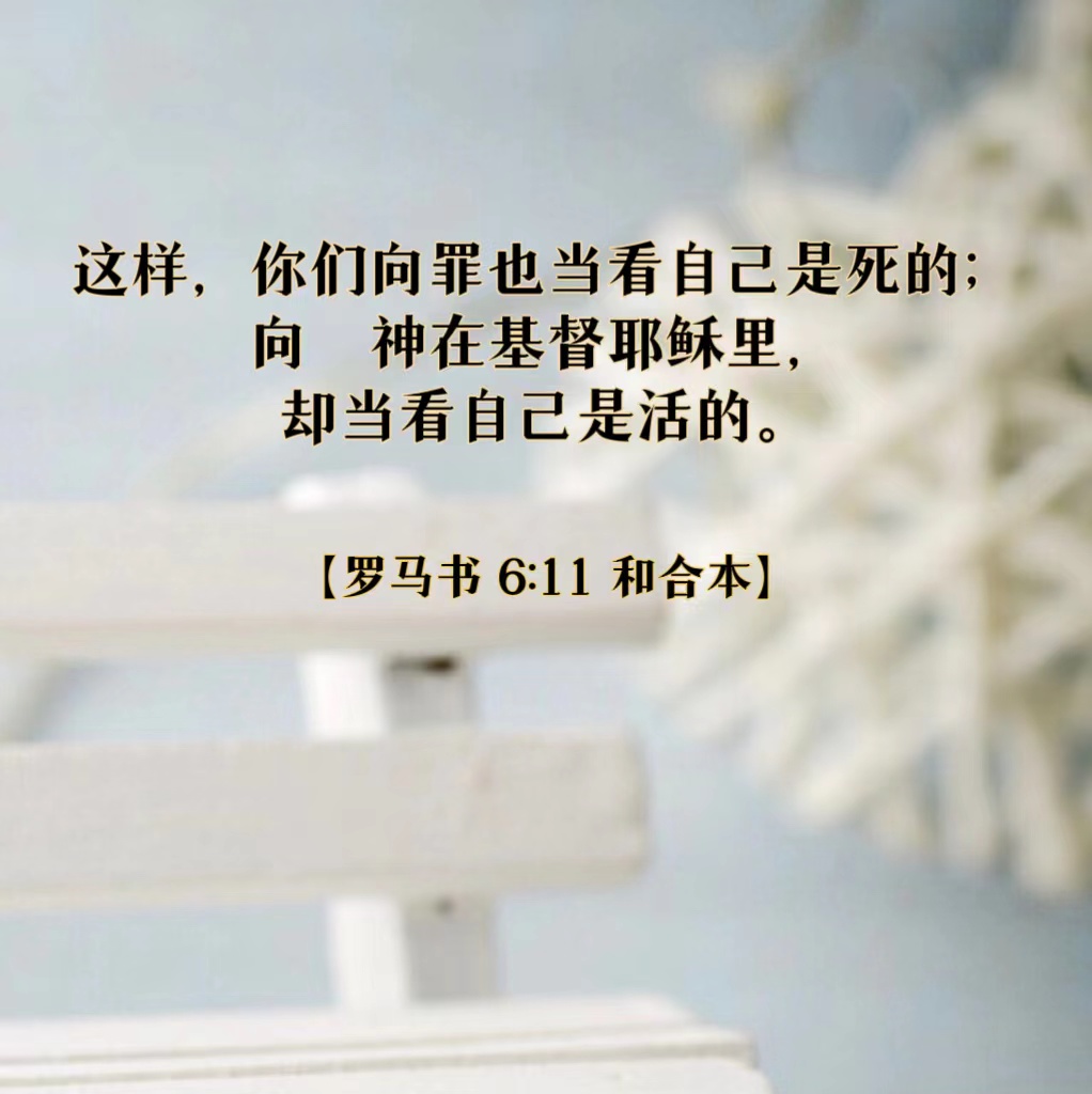 不容错过的经典战役切尔西与埃弗顿全场实录在线观看