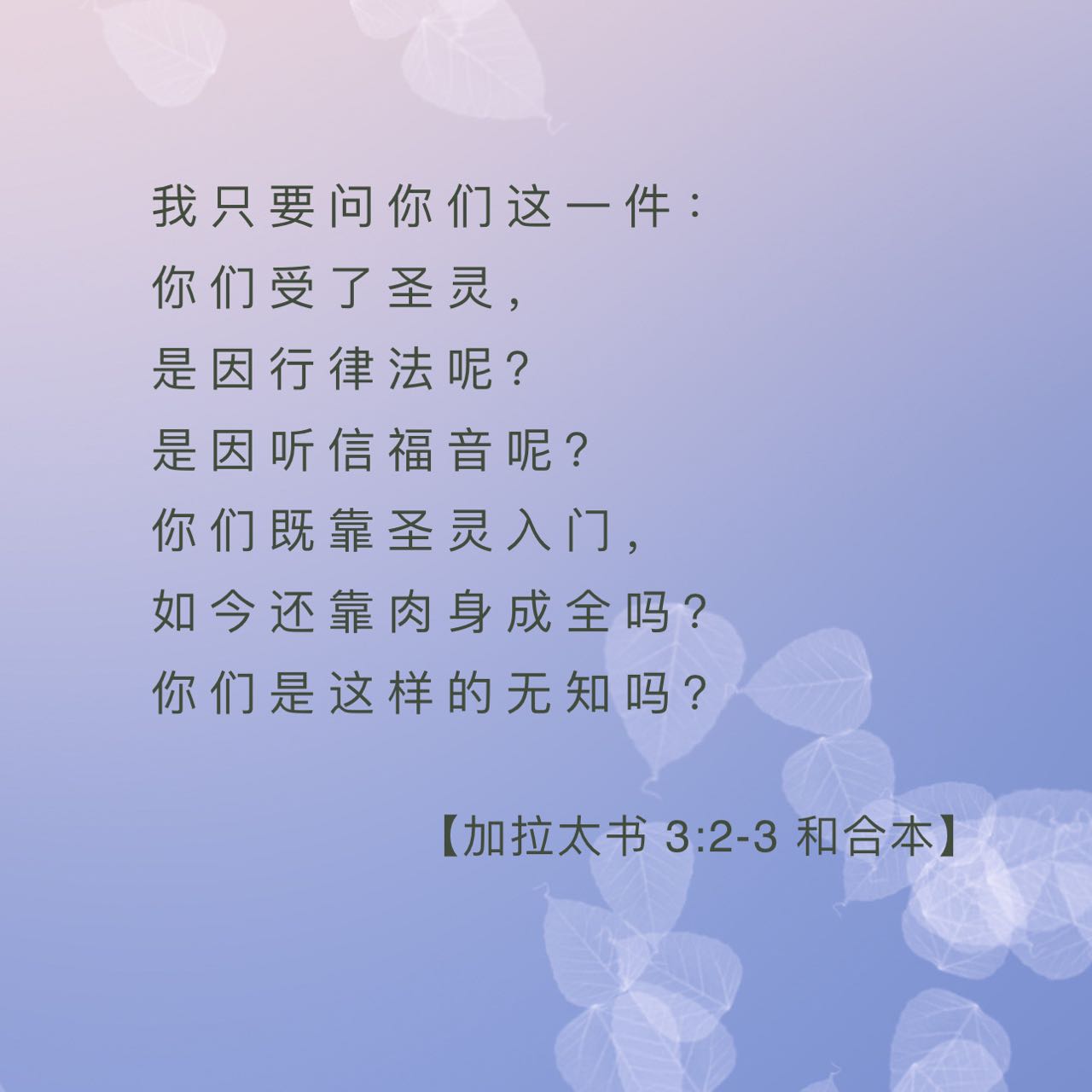 6月2日-6月8日陪你读圣经