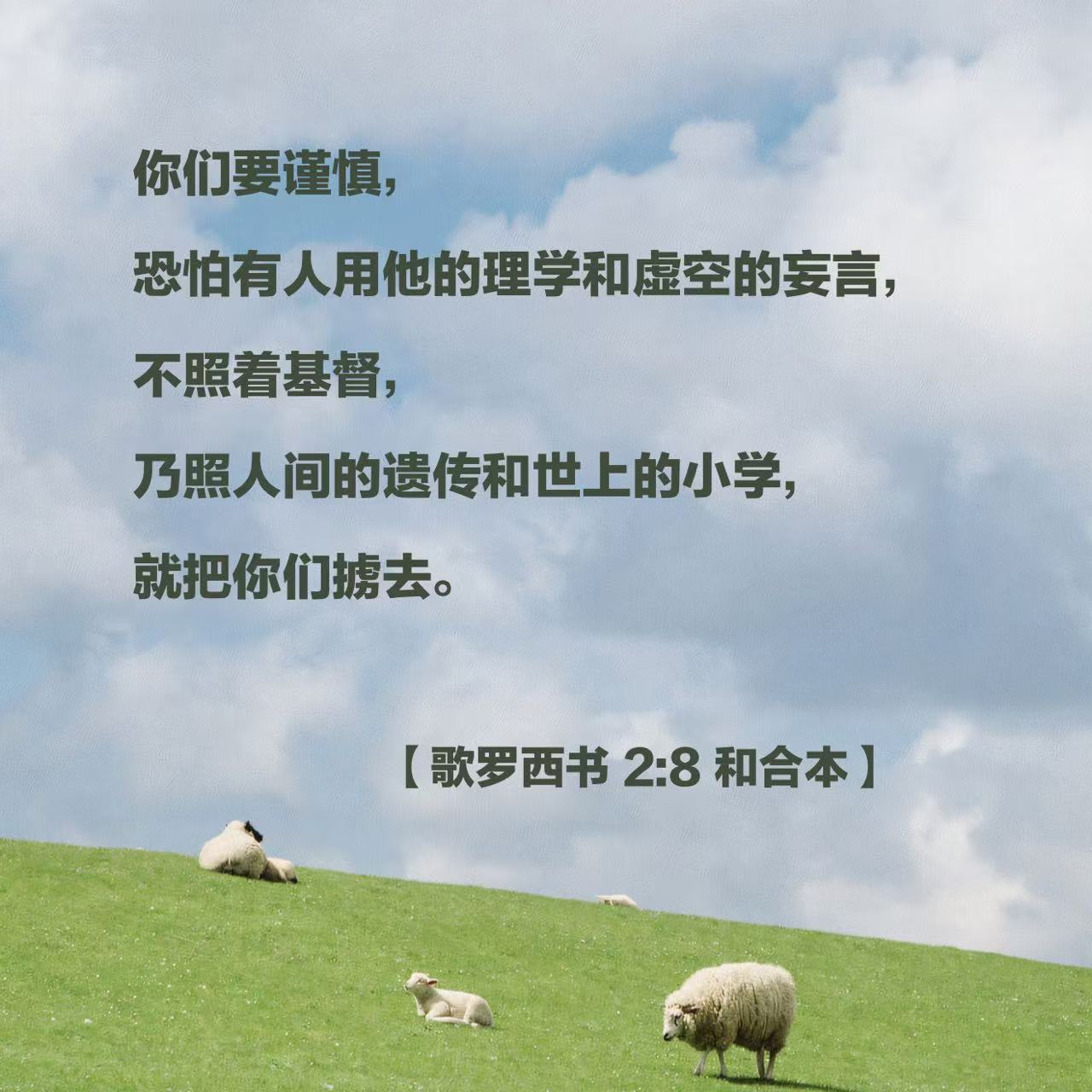 26.7.19.jpeg