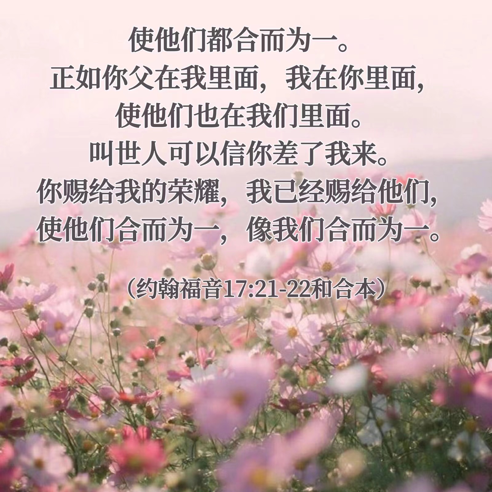 9月04日9月10日陪你读圣经