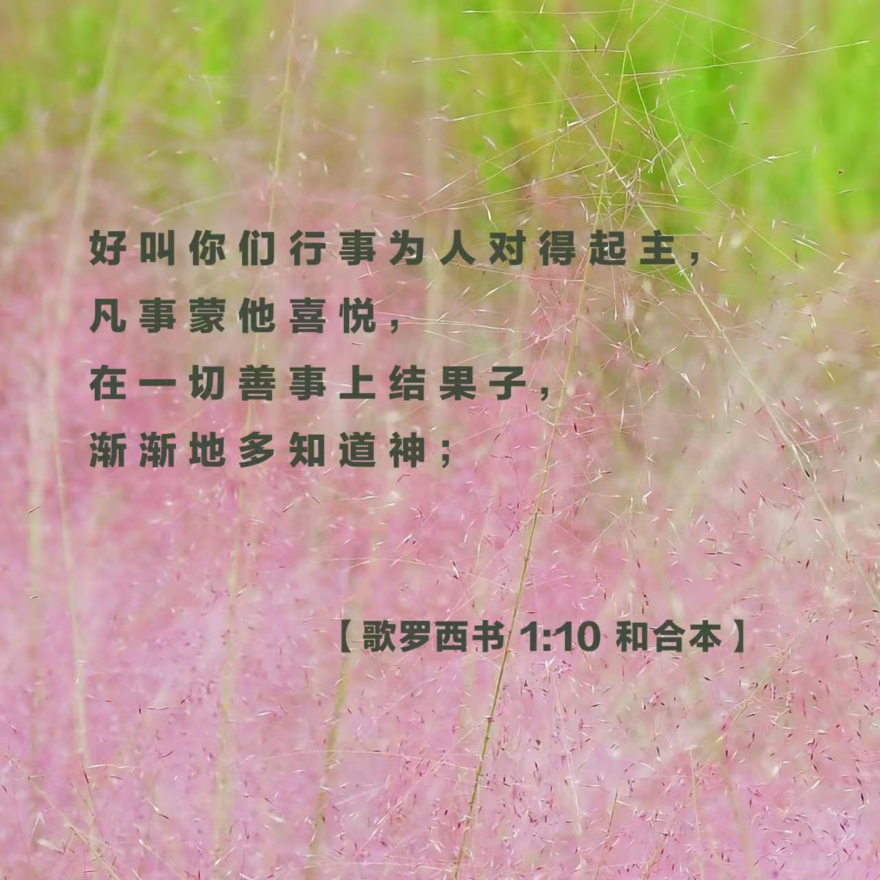 26.6.21.jpg